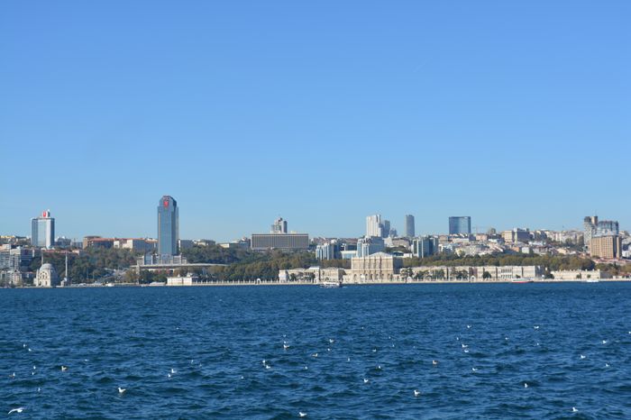 German kings south of the Rhine