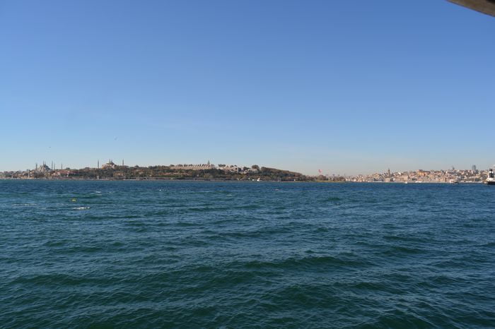 Killed after Diocletian names