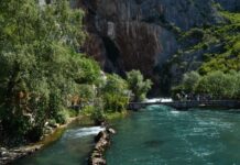 Identifying the Empress Irene in the Inscriptions