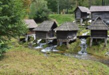 The Enigma of the Capitol of Constantinople