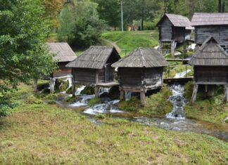 The Enigma of the Capitol of Constantinople