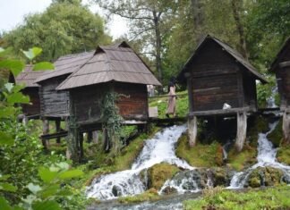 The Ottoman Succession Crisis