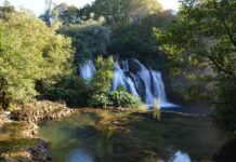 Reshad Effendi the Imprisoned Heir to the Ottoman Throne