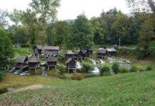 Scenes in Constantinople